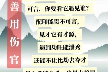 明年要宝宝找对时机，命理解析助你好运连连！