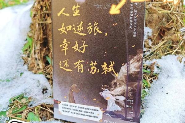 命不朝保，人生如逆旅：选择与责任的思考
