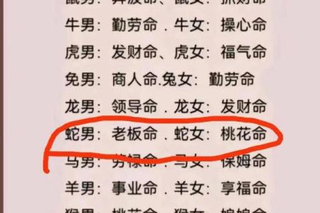 明年兔年与后年龙年：命理解读与人生启示