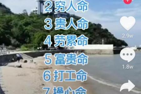 命不入人：探寻命运与个人选择的交汇点