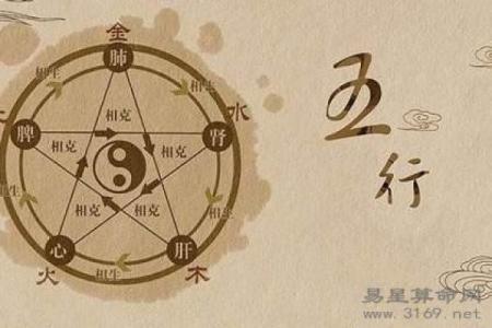 名字中带“群”的女人，她们的命运与性格解析