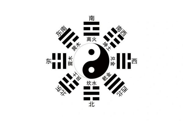 梦见阴阳命，解密生命中的阴阳哲学与命运之舞