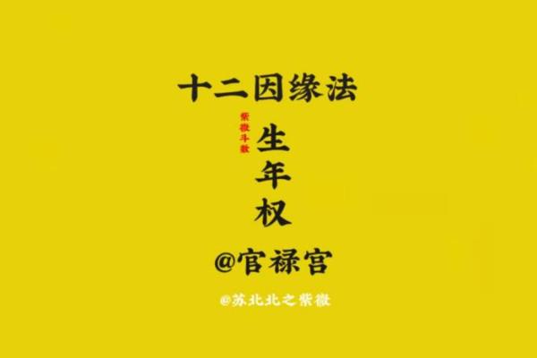 命9与命7的奥秘：揭示命理背后的深意与启示