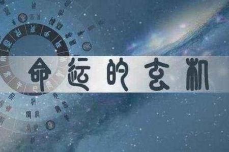 明年68岁属什么命？探秘生肖与命运的奥秘
