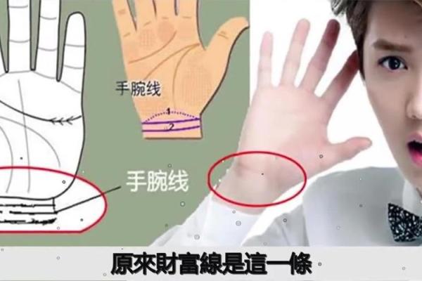 免费查自己是什么命星，揭示你命运的秘密！