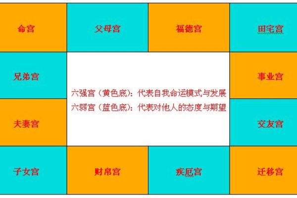 明星命盘解析：揭示人生轨迹与成就之谜