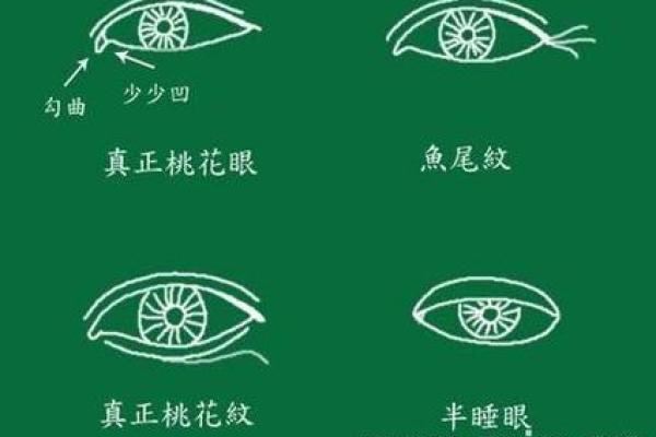 面相揭秘：中宽之人命运与性格的深刻关联