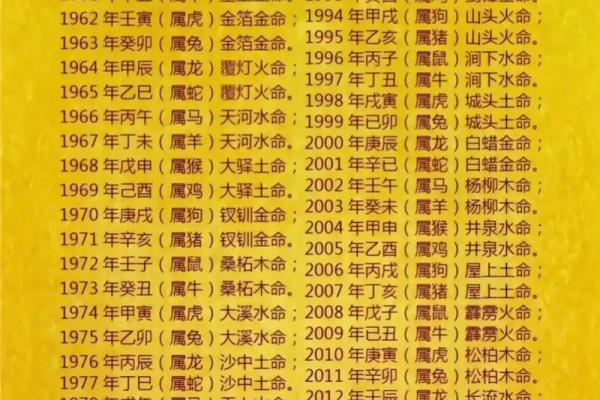 明年出生的五行命运解析：你的小宝宝将成为什么样的人？