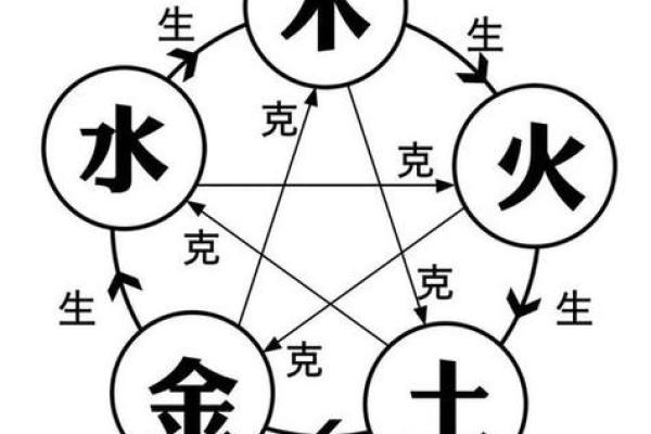 绵羊的五行属性与命理解析：探寻其象征与性格之美
