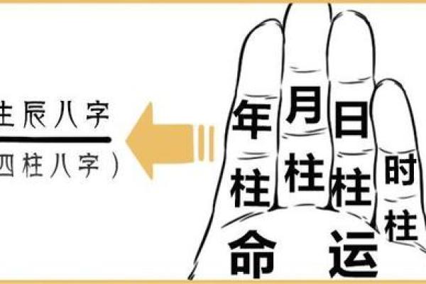 明星的命运：解析八字与星途的微妙关系