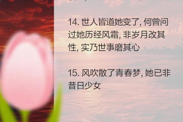 命比黄连苦，人生百态中的无奈与坚韧