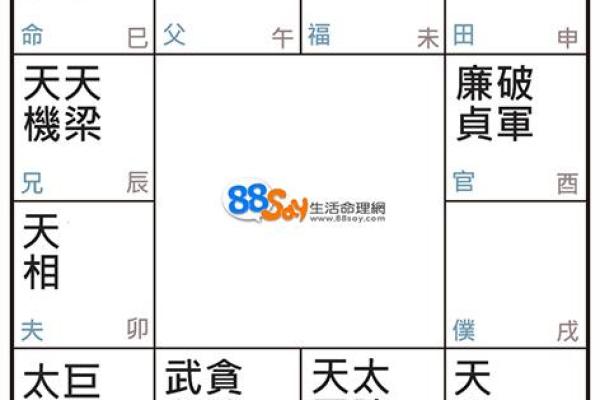 免费八字测算：探究你的命格与人生轨迹之谜
