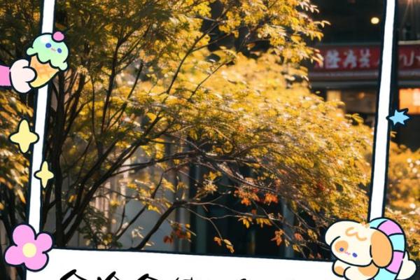 美丽与命运的辩证：为何貌美之人往往命途多舛？