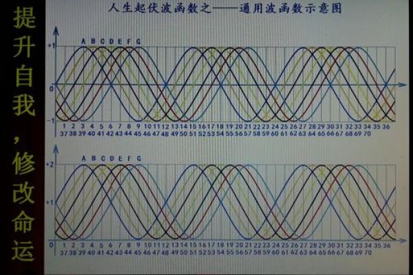 免费查自己是什么命格，发现人生秘密与机遇！