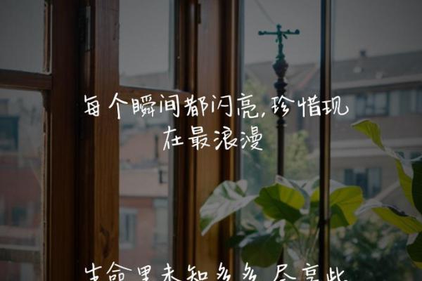 命不久矣：人生的无常与珍惜每一刻的启示