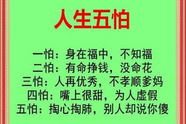 免费查询命格属性，揭示内心潜能与人生方向