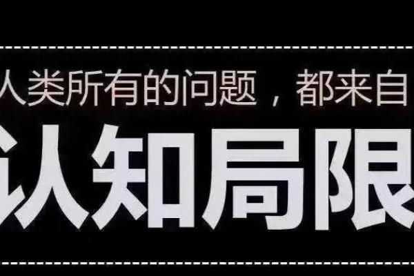 名图与名毒：汽车选择的不同境界与魅力分析