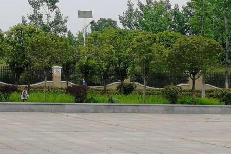 明年农历五月十三：生肖解密与命运探索之旅
