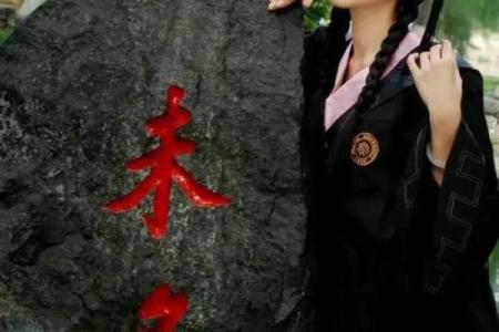 明星搏命背后：炫耀光环下的辛酸与无奈
