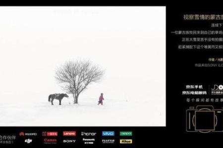 明年九月十日出生的人命运解析：揭开命运的神秘面纱