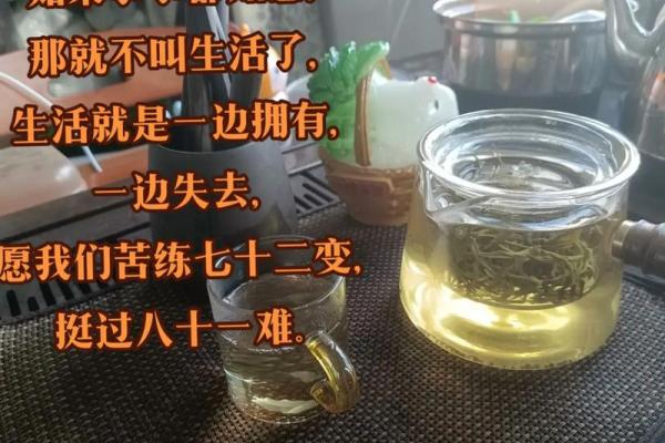 命不由天，人生在于奋斗与选择