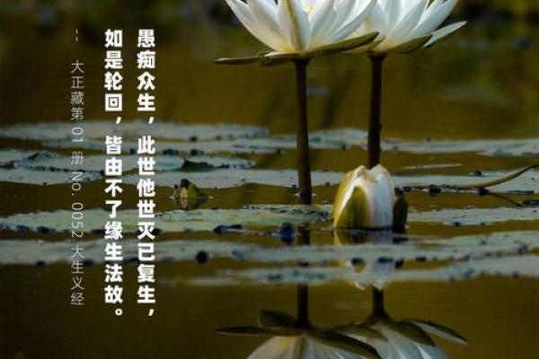 明年四月十三日，四季轮回中的命理探秘