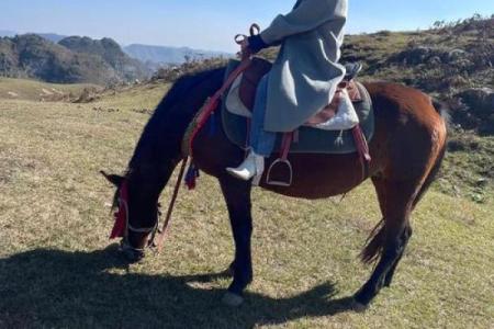 命代孤辰，心系轮回：如何选择适合的经文以寻求内心的平静与启示