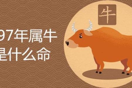 免费查询命格属性，了解你的命运之路与人生智慧！