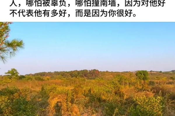 命不听则枉，如何理解“枉”的深刻含义与人生启示