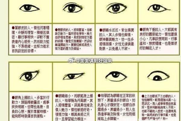 面相分析：颧骨突出的命运与人生轨迹之探讨