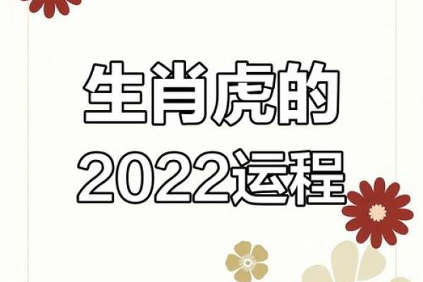 明年属虎人运势解析：新机遇与挑战并存的命运旅程