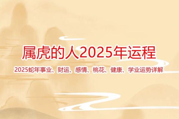 明年属虎人运势解析：新机遇与挑战并存的命运旅程