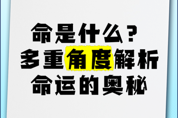 面相王爷命：解密君王之相与命运的奥秘