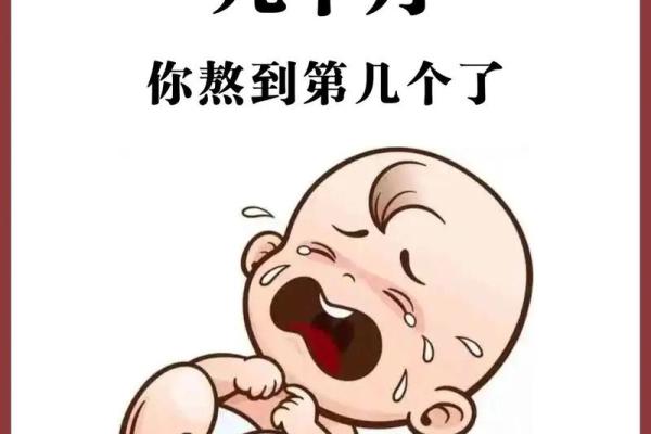 明年5月份出生的宝宝属什么命？宝宝命格全集带你了解命运之路