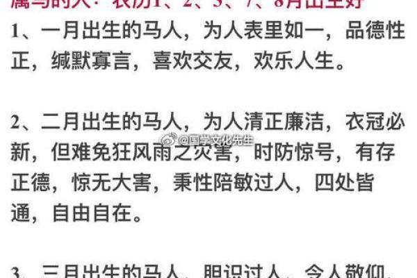明年出生男孩的命运：解密2024年的生肖与命理