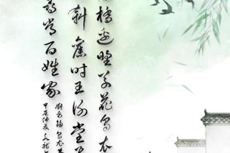 名字的寓意与五行命理：揭秘姓名背后的秘密与人生之道