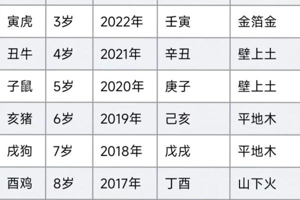 免费测五行属什么命，探索你的命理奥秘与人生方向