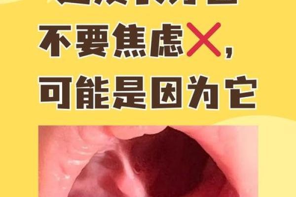 门牙缝隙大揭秘：你是否知道它背后的命理故事？