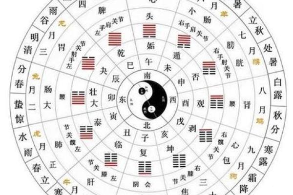 免费八字测命格，解锁自己的命运密码！