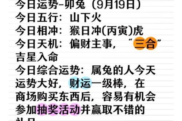 明天属兔的命理解析：探寻兔年的好运与命运之旅