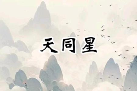 命带福德星：揭示你人生中的福气与机遇之星的秘密