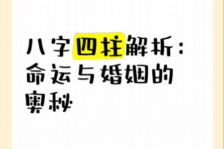 命不如人，天涯何处寻？探寻命运与努力之间的奥秘