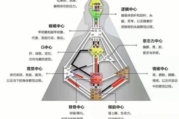 命带官禄：探寻人生光辉的天赋与机遇