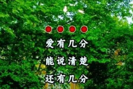 命半阳伴奏的音乐魅力与情感表达探究