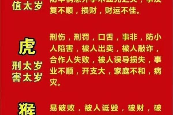 命乘玄武神：探寻命理中的吉祥象征与人生智慧