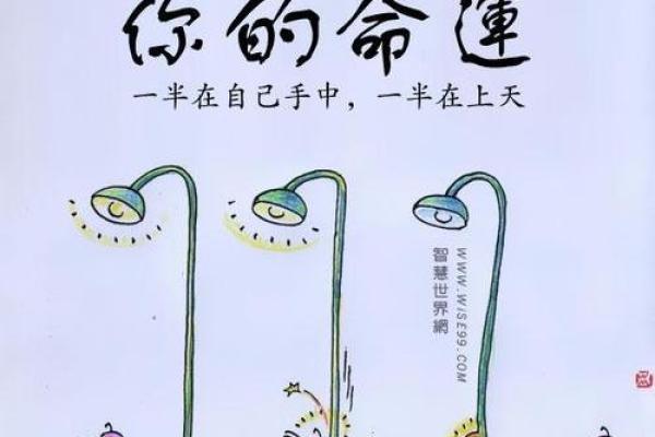 命不好但运气好：人生中的奇妙平衡与启示