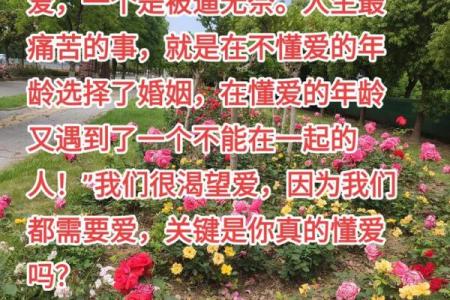 民不堪命命：探寻生活中的无奈与选择