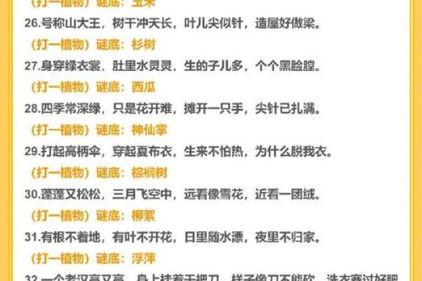 谜底揭晓：让我们一起探寻长寿的动物之谜！