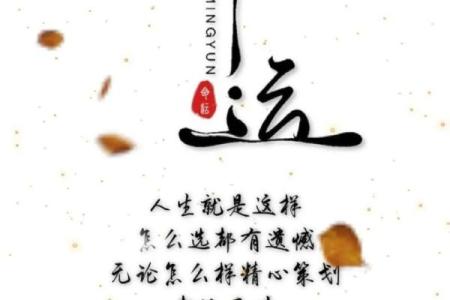 命不与命争：寻求内心宁静的智慧与哲学之路