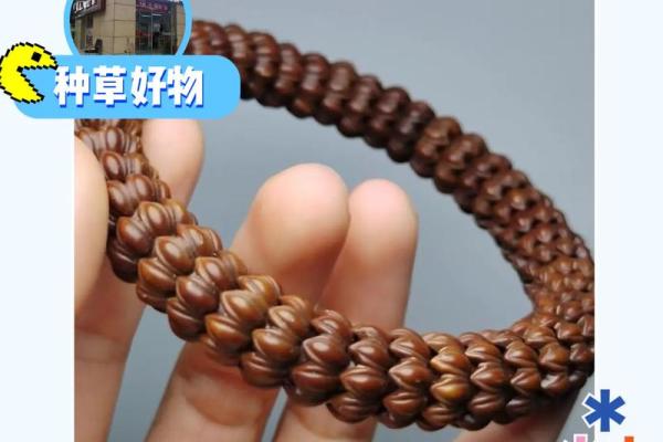 命里九朵莲花：探秘莲花的深邃象征与人生启示